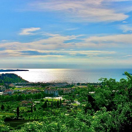 Sea View Olive Retreat Apartment Portoroz Exterior photo